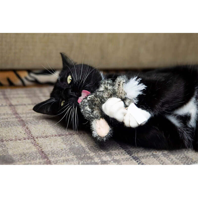 61y9Fgm61kL._AC_SL1500_