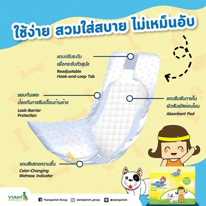 Sukina Petto โอบิ สุนัขตัวผู้ - Image 6