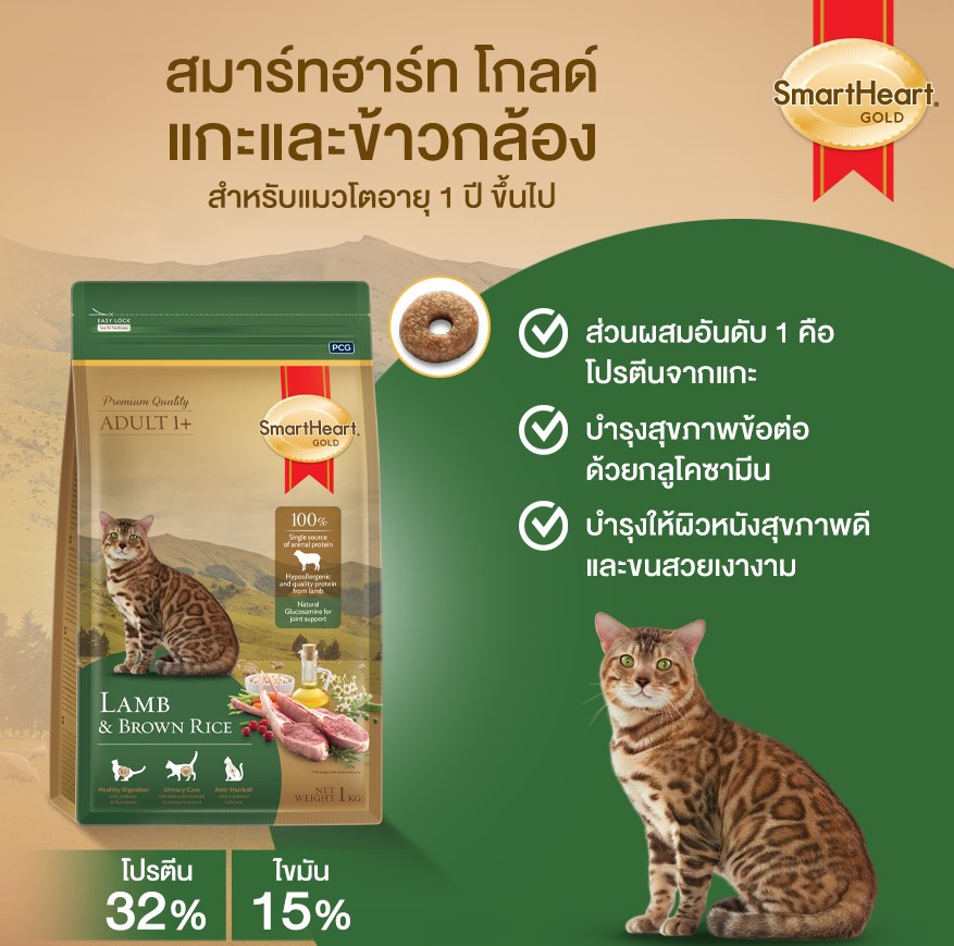 e72634f074ea7c0dd1ac2b7679030b55